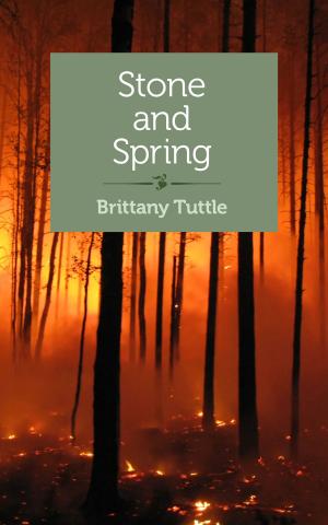Cover of the book Stone and Spring by Teresa Wiltz