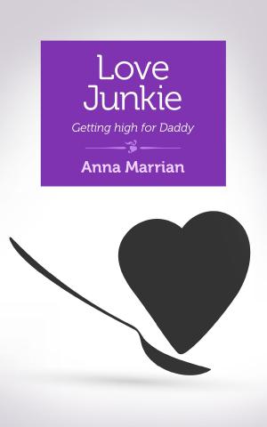 Cover of the book Love Junkie by E.C. Frey