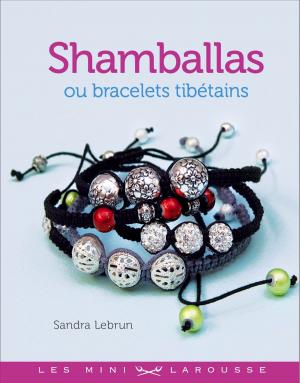 Cover of the book Shamballas ou bracelets tibétains by Julie Schwob