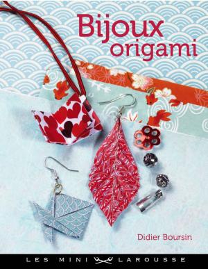 Cover of the book Bijoux en origami by Serge Schall