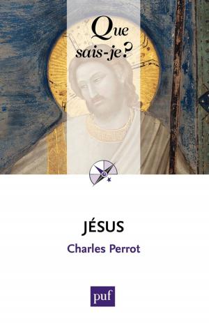 Cover of the book Jésus by Nicolas Grimaldi