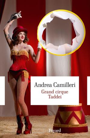 Cover of the book Grand cirque Taddei by Faïza Guène
