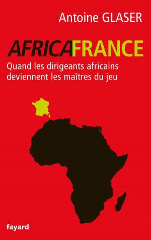 Cover of the book Africafrance by Noël Balen, Vanessa Barrot