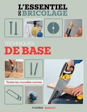 Cover of the book Techniques de base (L'essentiel du bricolage) by Alain Hobé, Jules Verne