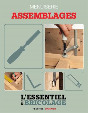 Book cover of Techniques de base - Menuiserie : assemblages (L'essentiel du bricolage)