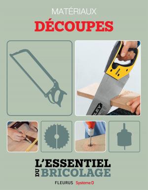 Cover of the book Techniques de base - Matériaux : découpes (L'essentiel du bricolage) by Émilie Beaumont, Christine Sagnier