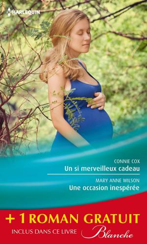 Cover of the book Un si merveilleux cadeau - Une occasion inespérée - Une rencontre improbable by Sarah Hegger