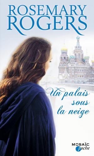 Cover of the book Un palais sous la neige by Lee Edward McIlmoyle