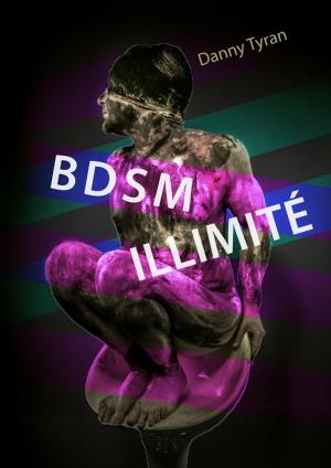 Cover of the book BDSM Illimité by Tristan Nibelong