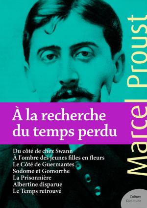 Cover of the book À la recherche du temps perdu by Anonyme