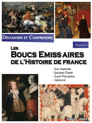 Cover of the book Les Boucs émissaires de l'Histoire de France by Jean Lanore