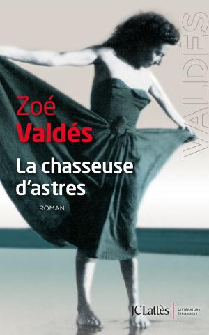 Cover of the book La Chasseuse d'astres by Didier Le Pêcheur