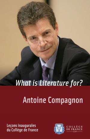 Cover of the book What is Literature for? by Jean-Matthias Fleury
