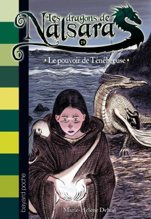 Cover of the book Les dragons de Nalsara, Tome 19 by Marie Lu