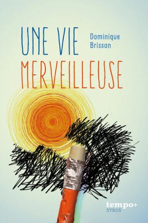 Cover of the book Une vie merveilleuse by Janine Hiu, Daniel Motteau