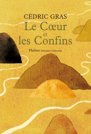 Cover of the book Le Coeur et les confins by Daniel De Roulet