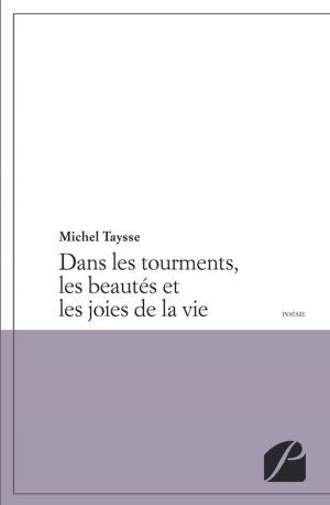 Cover of the book Dans les tourments, les beautés et les joies de la vie by Michel Taysse