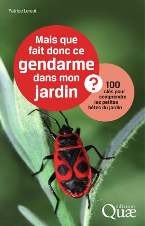 Cover of the book Mais que fait donc ce gendarme dans mon jardin ? by Bernard Sauveur, Henri Carville