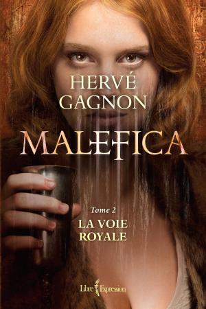 Cover of the book Malefica, tome 2 by Fernand Patry