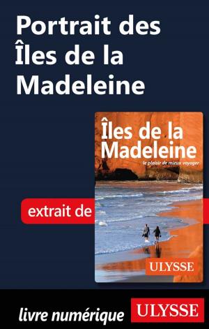 Book cover of Portrait des Îles de la Madeleine