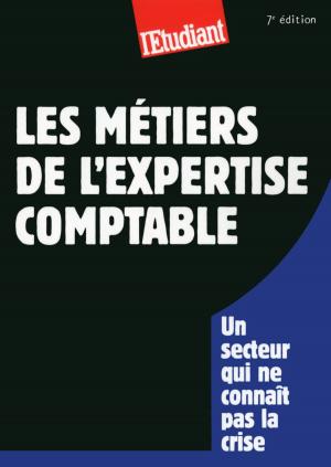 Cover of the book Les métiers de l'expertise comptable by Emmanuelle Aublanc