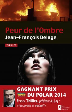 Cover of Peur de l'Ombre. Gagnant Prix VSD du Polar 2014.