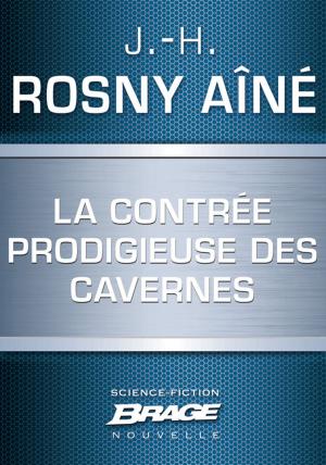 Cover of the book La Contrée prodigieuse des cavernes by David Drake
