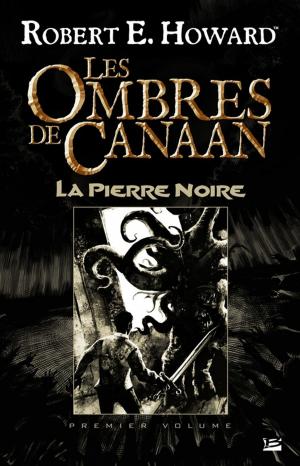 Cover of the book Les Ombres de Canaan - La Pierre Noire by Jack Whyte