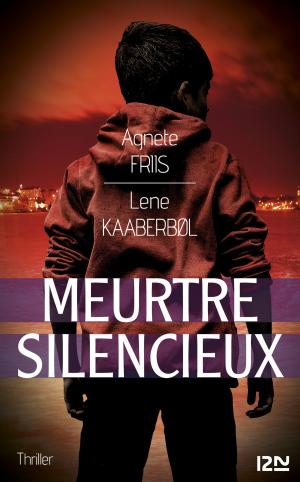 Cover of the book Meurtre silencieux by Julie BUXBAUM