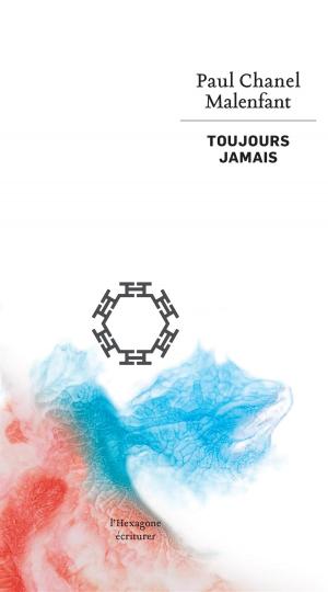 Cover of the book Toujours jamais by Fernand Ouellette
