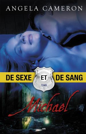 Cover of the book Michael by Anne Elisabeth Stengl