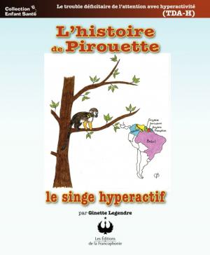 Cover of the book L'histoire de Pirouette le singe hyperactif by Colette Chabot