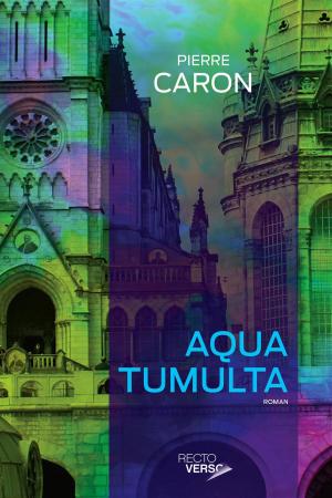 Cover of the book Aqua Tumulta by Lance John