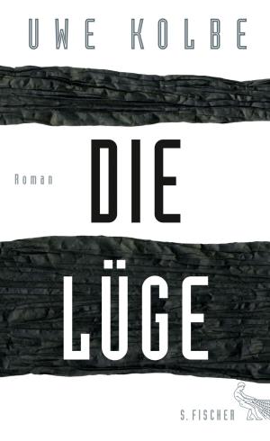 Cover of the book Die Lüge by Stephenie Meyer