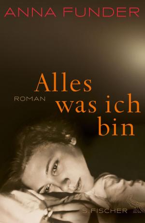 Cover of the book Alles, was ich bin by Barbara Wood