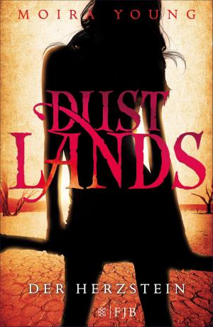 Cover of the book Dustlands - Der Herzstein by Barbara Wood