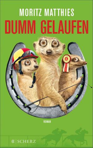 Book cover of Dumm gelaufen