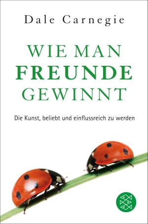 Cover of the book Wie man Freunde gewinnt by Lisa Seelig, Elena Senft