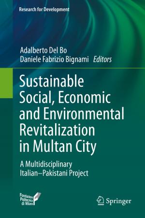 Cover of the book Sustainable Social, Economic and Environmental Revitalization in Multan City by 