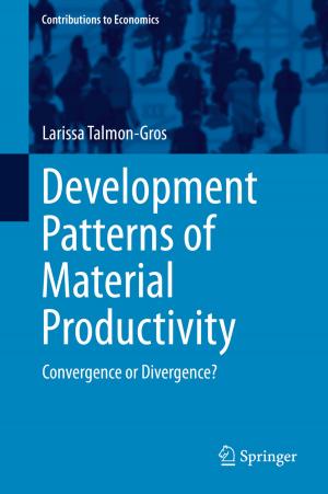 Book cover of Development Patterns of Material Productivity