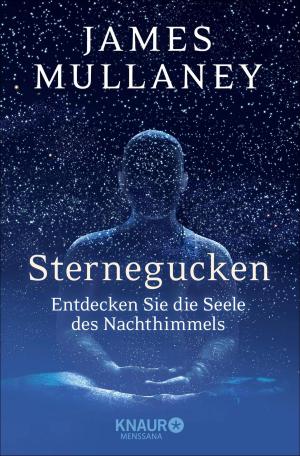 Cover of the book Sternegucken by Bernard Jakoby, Marie-Luise Nieberle