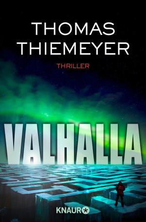 Book cover of Valhalla