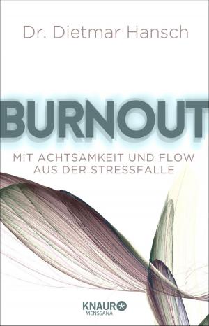 Cover of the book Burnout by Ulf Schiewe