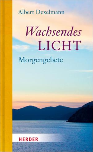 Cover of the book Wachsendes Licht by Javier Melloni