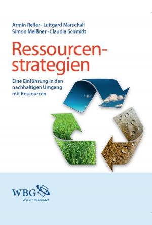 Cover of the book Ressourcenstrategien by Christian Danz