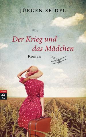 Cover of the book Der Krieg und das Mädchen by Amanda Hocking