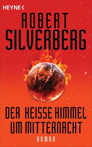 Book cover of Der heiße Himmel um Mitternacht