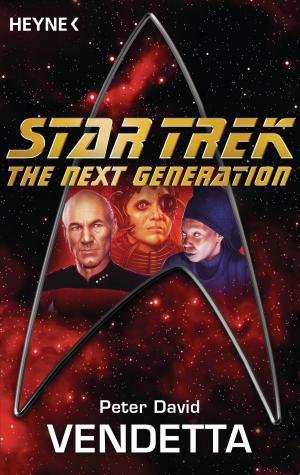 Cover of the book Star Trek - The Next Generation: Vendetta by Peter V. Brett