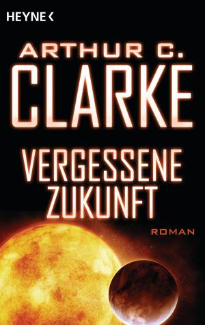 Book cover of Vergessene Zukunft
