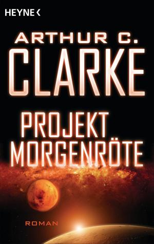 Book cover of Projekt Morgenröte